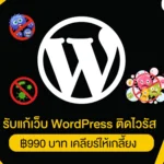 รับแก้เว็บ WordPress ติดไวรัส เข้าเว็บไม่ได้